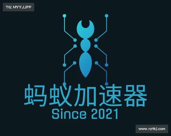 发现蚂蚁加速器